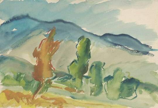 Landscape below the Mountains